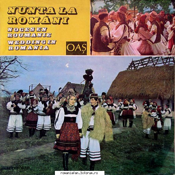 Discuri vinil si raritati cu muzica populara - Nunta la Rom�ni - Maramureș - Populara MP3's Albums